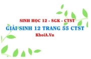 Giải Sinh 12 trang 55 Chân trời Sáng tạo